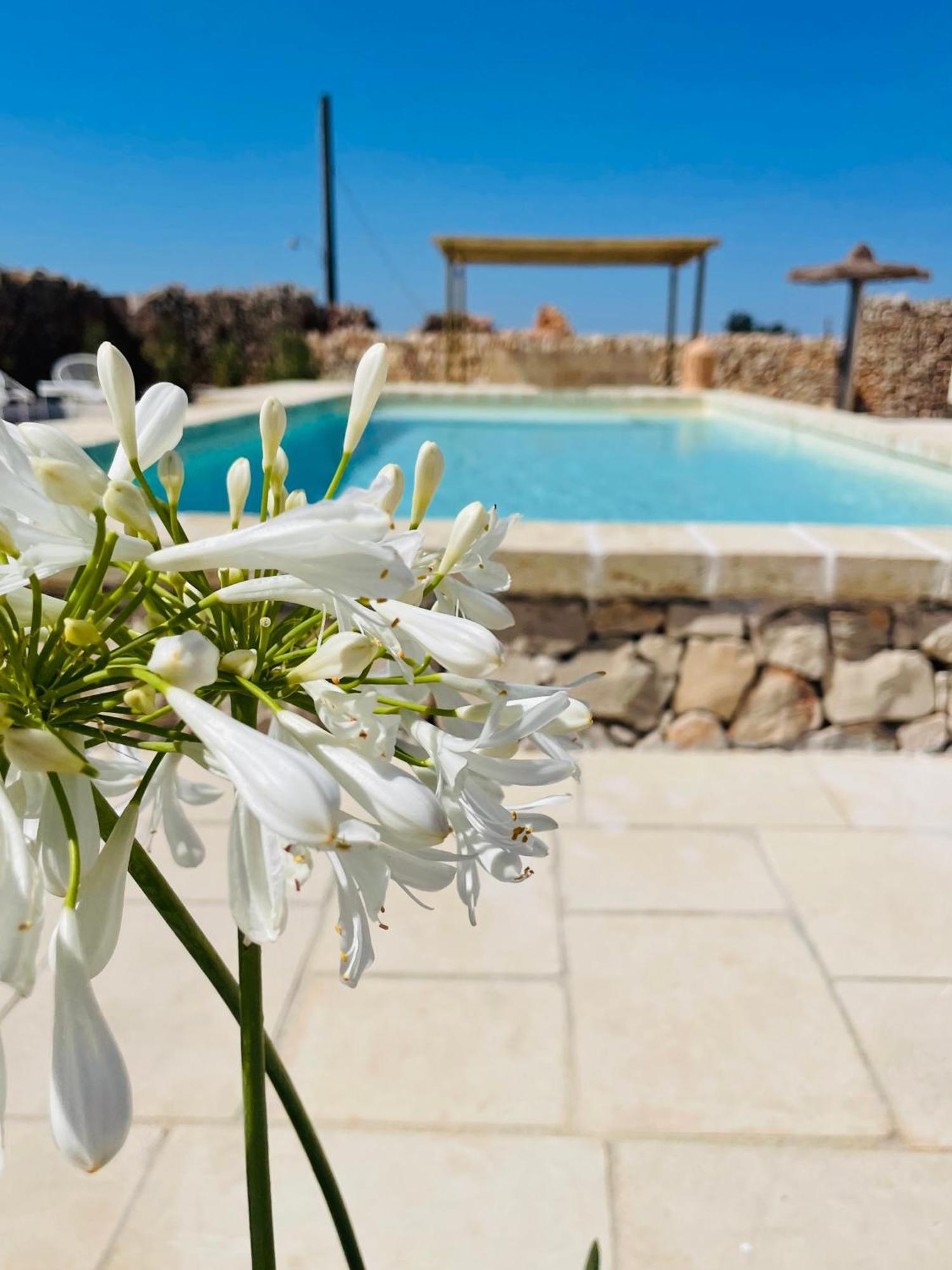 Masseria Voluzzi Copertino Exteriér fotografie